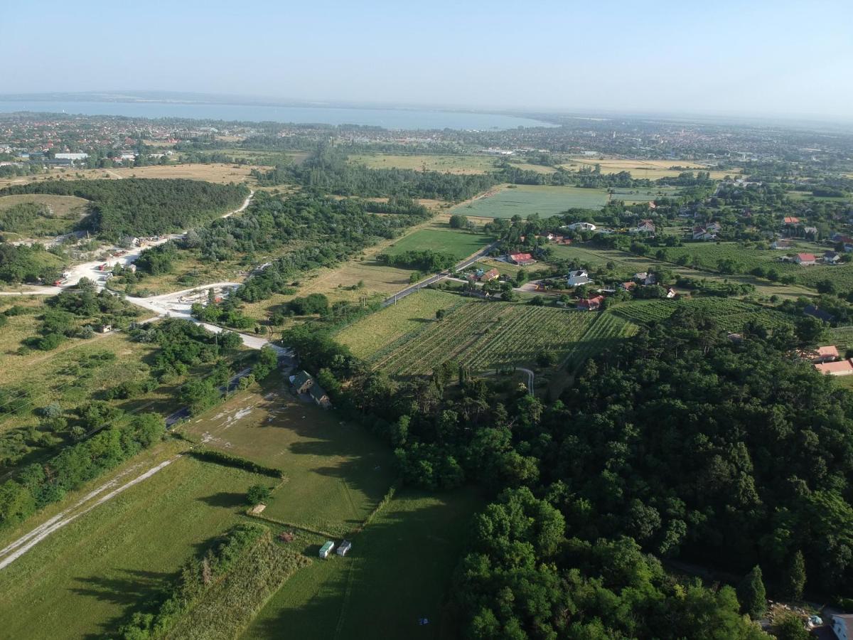 Pilikan Apartments - Park, Agroturism, Vineyard & Farm 체르젝토마 외부 사진